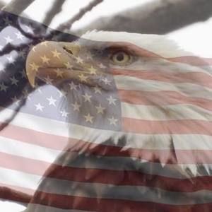 Meet your Posher, Bob